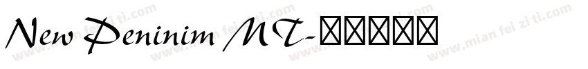 New Peninim MT字体转换